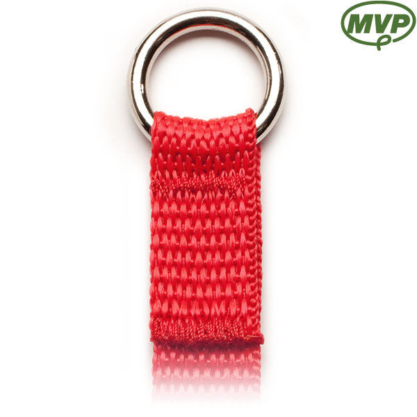 Free Gift - #103-O Flat Leashes with 